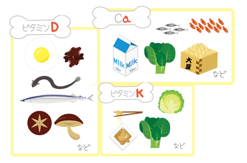 食事や日光浴