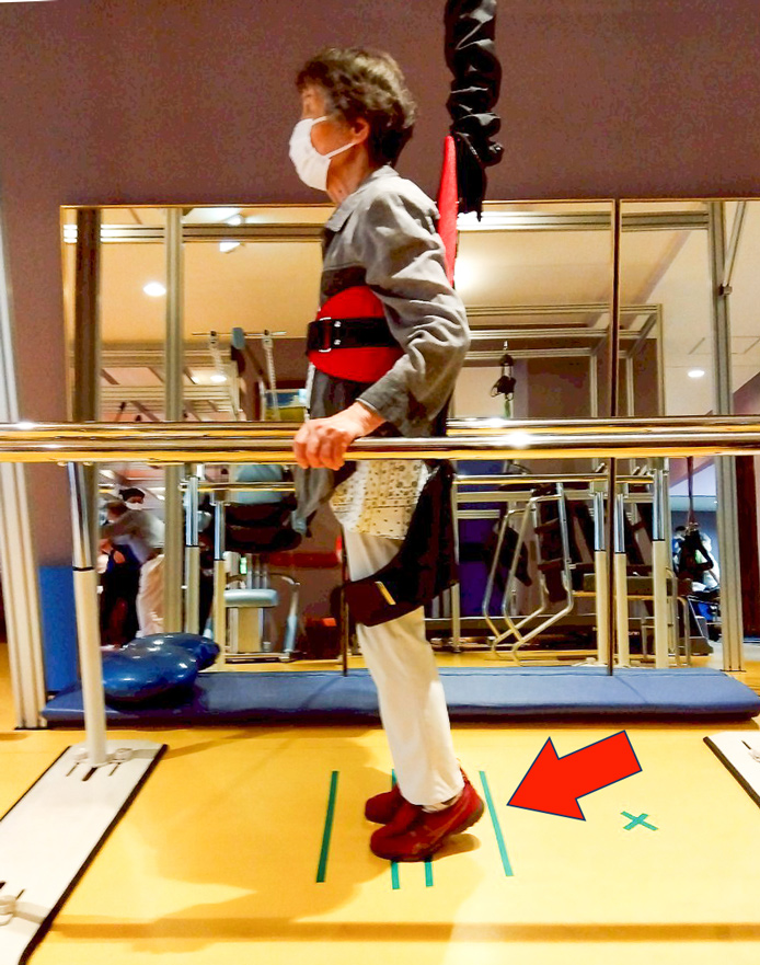 カーフレイズ